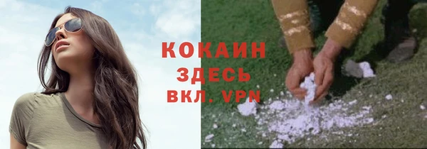 твердый Верхний Тагил