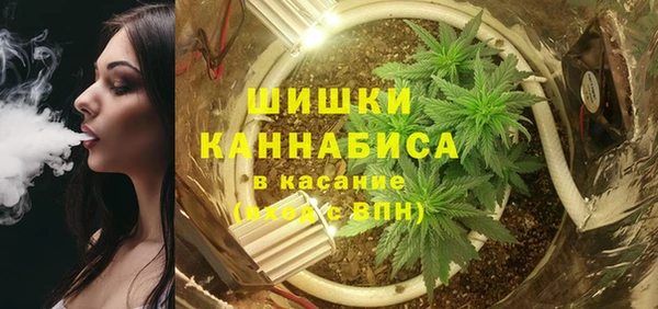 твердый Верхний Тагил